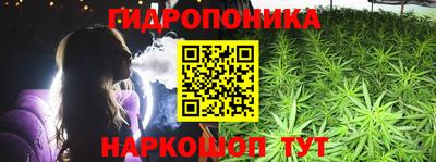 индика Будённовск