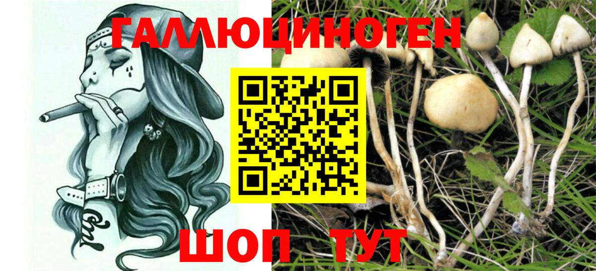 Галлюциногенные грибы MAGIC MUSHROOMS  Вход с VPN  магазин продажи наркотиков  Рязань 