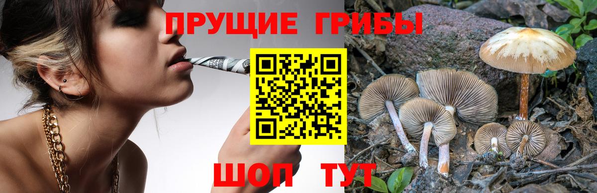 Галлюциногенные грибы Magic Shrooms Рязань